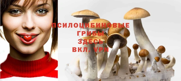 дурь Алексин
