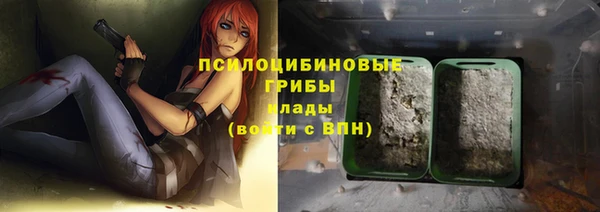 дурь Алексин