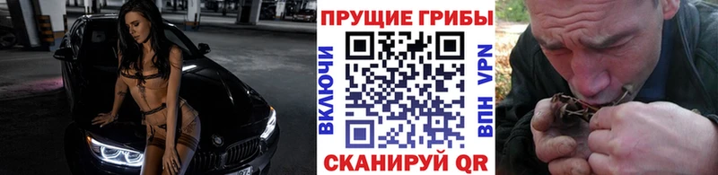 Псилоцибиновые грибы Cubensis  Апрелевка 